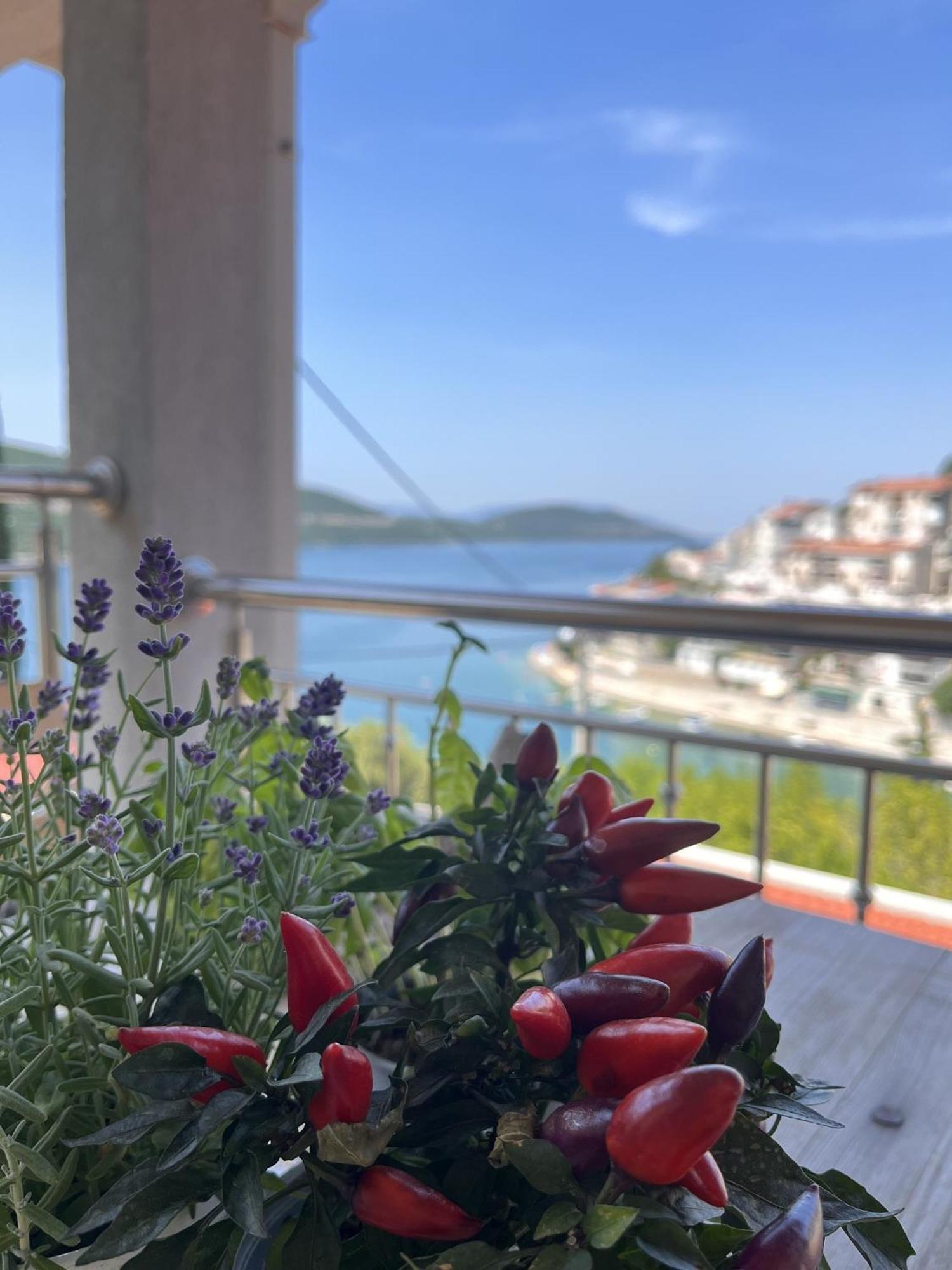 Villa Ljiljana Neum Quarto foto